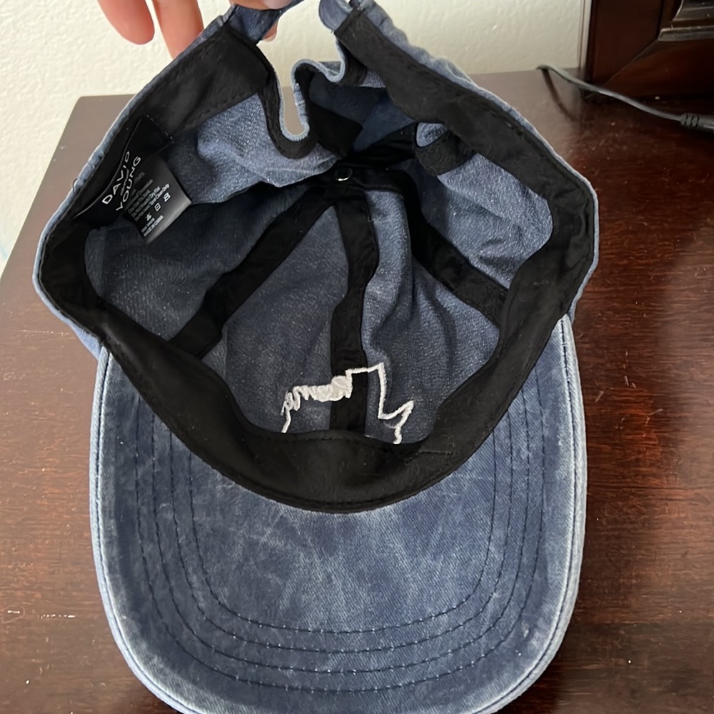 Texas Cap - Picture 2 of 2